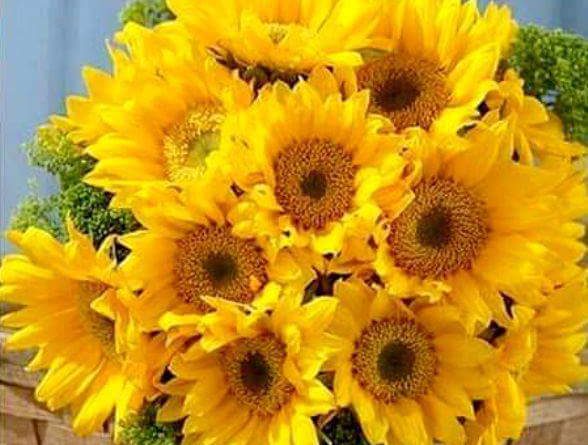 vartotojo įkelta nuotrauka