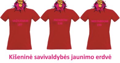 Kišeninė savivaldybės jaunimo erdvė Kišeninė savivaldybės jaunimo erdvė