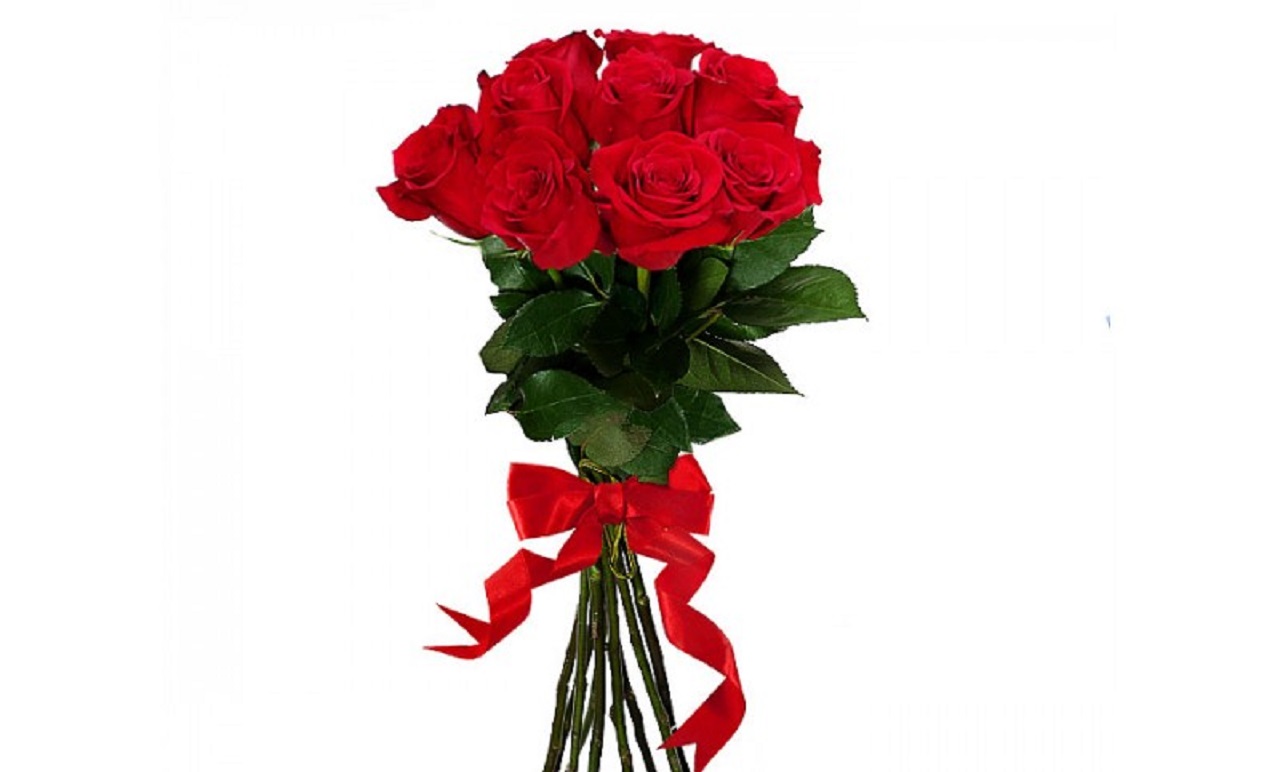 Девять роз. 9 Роз Эквадор. 9 Красных эквадорских роз букет. Небольшие букеты из роз. Букет из красных роз.