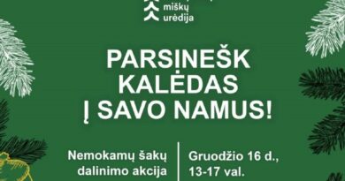 Parsinešk Kalėdas į savo namus Parsinešk Kalėdas į savo namus