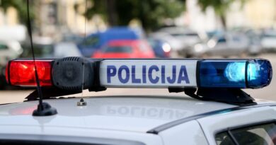 Tamsioji savaitės pusė – vagystė, neteisėtas ginklas ir smurtas artimoje aplinkoje Tamsioji savaitės pusė – vagystė, neteisėtas ginklas ir smurtas artimoje aplinkoje