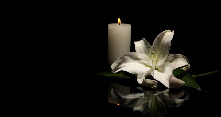 In memoriam Daiva Daubarienė