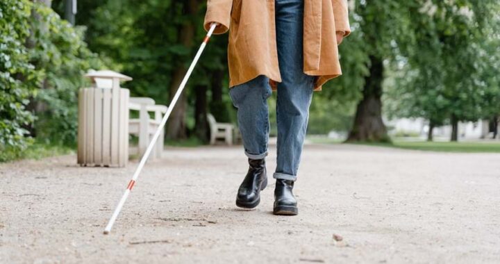 Spalio 15-oji minima  pasaulinė Baltosios lazdelės diena