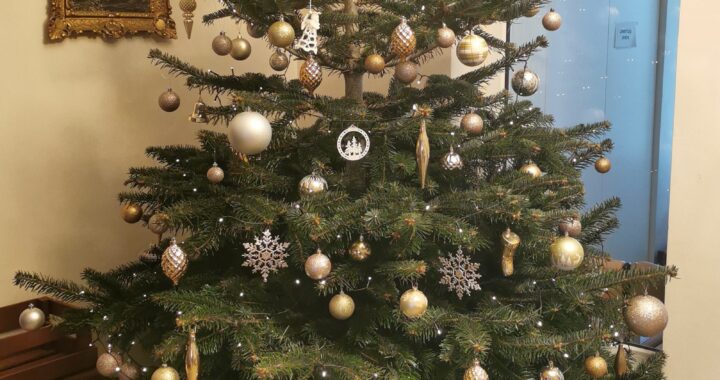 Kalėdinės gražuolės apsigyveno pas senelius