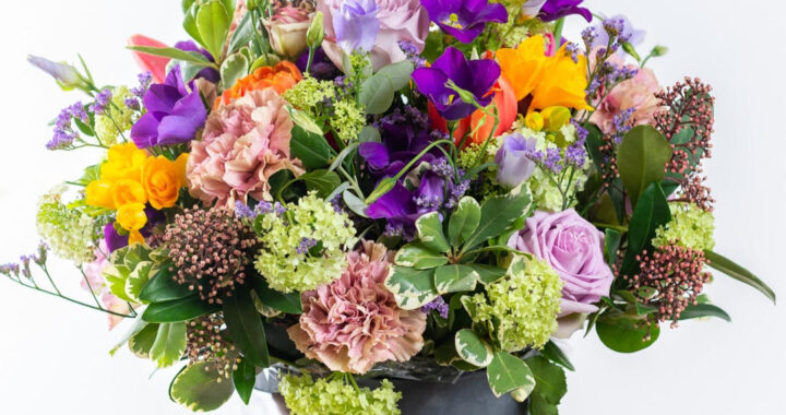 Sveikinimas Laimonui Judeikiui