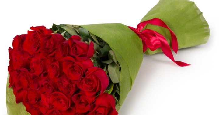 Sveikinimas Zitai Jozonienei