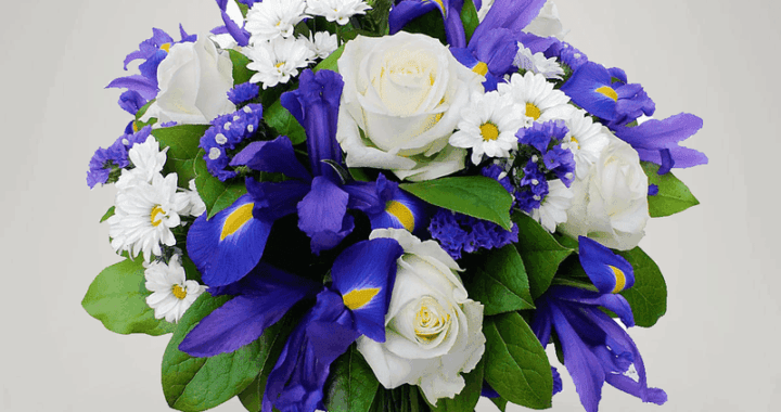 Sveikinimas Vaidui Kuznecovui