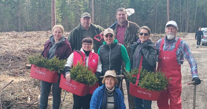 Kai bendrystė auga kaip miškas