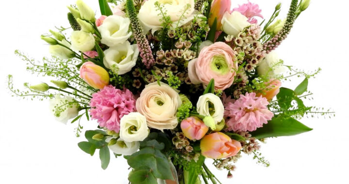 Sveikinimas Alvydai Vadeikienei