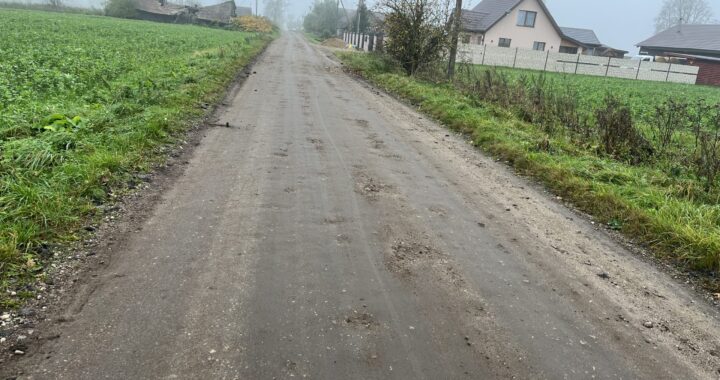 Pašalino asfaltą, o remonto taip ir nesulaukė: kas nutiko Gavėnių kaimo Pavasario gatvei?